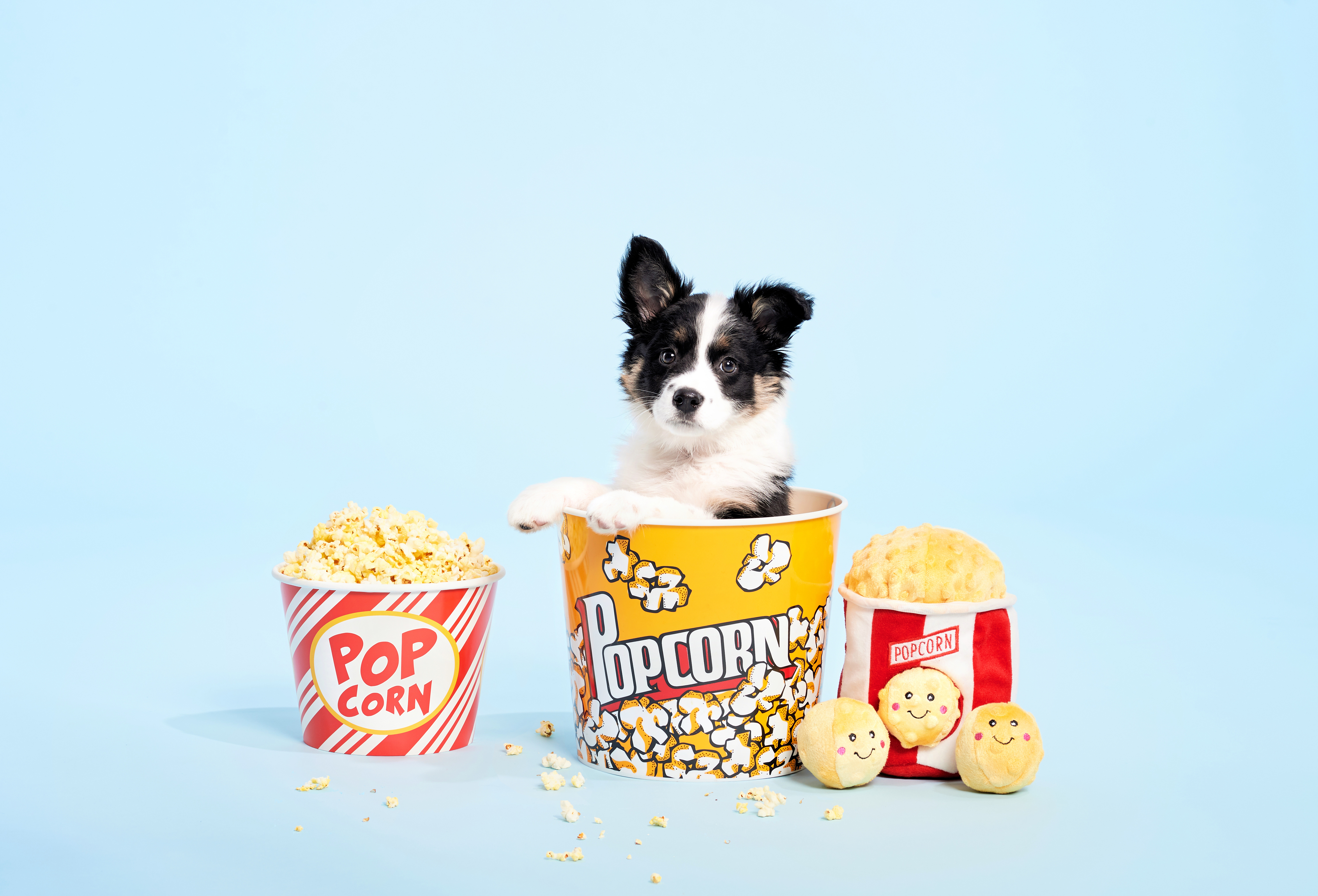 ZippyPaws 爆米花 益智藏食玩具 情境照