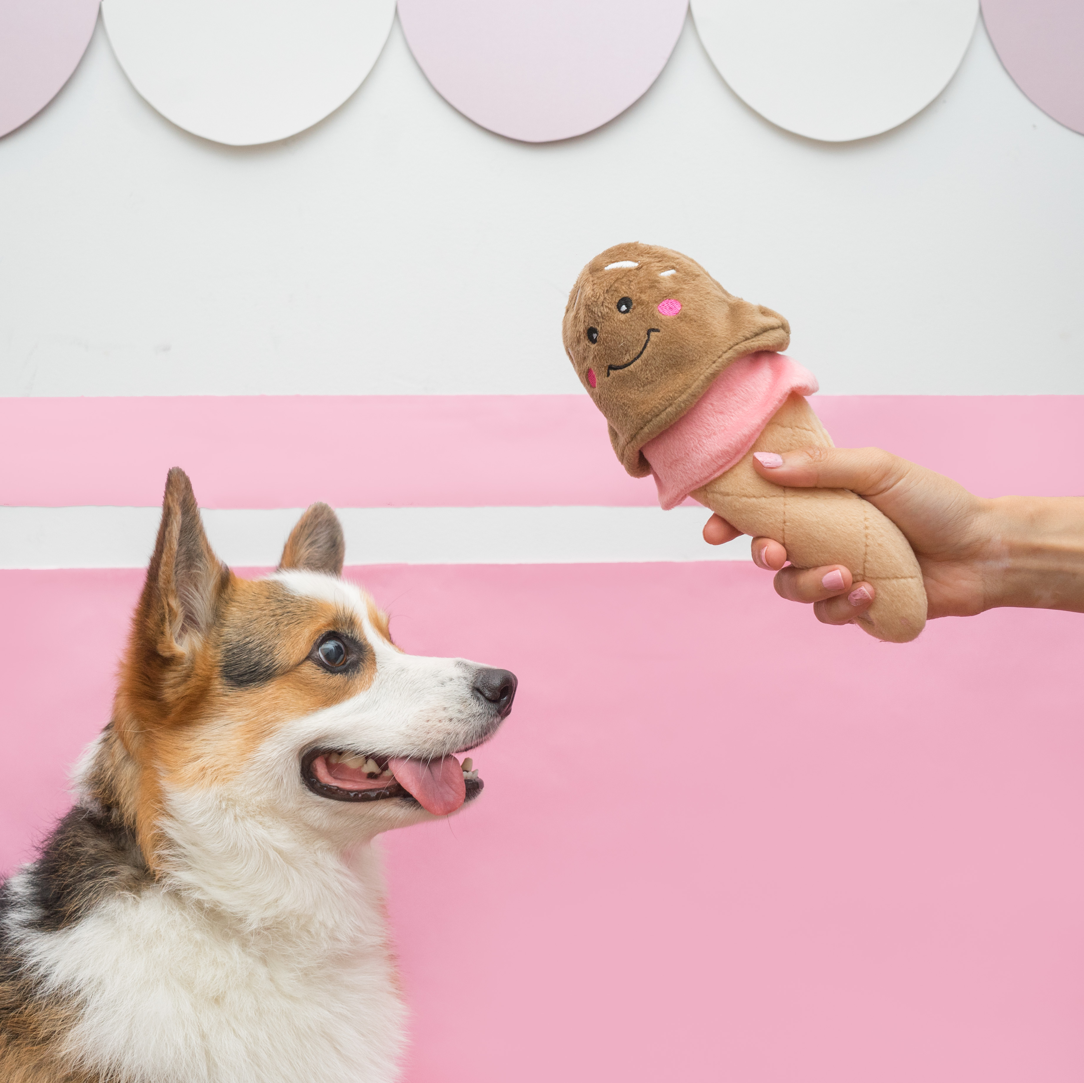 ZippyPaws 霜淇淋寵物玩具 情境照