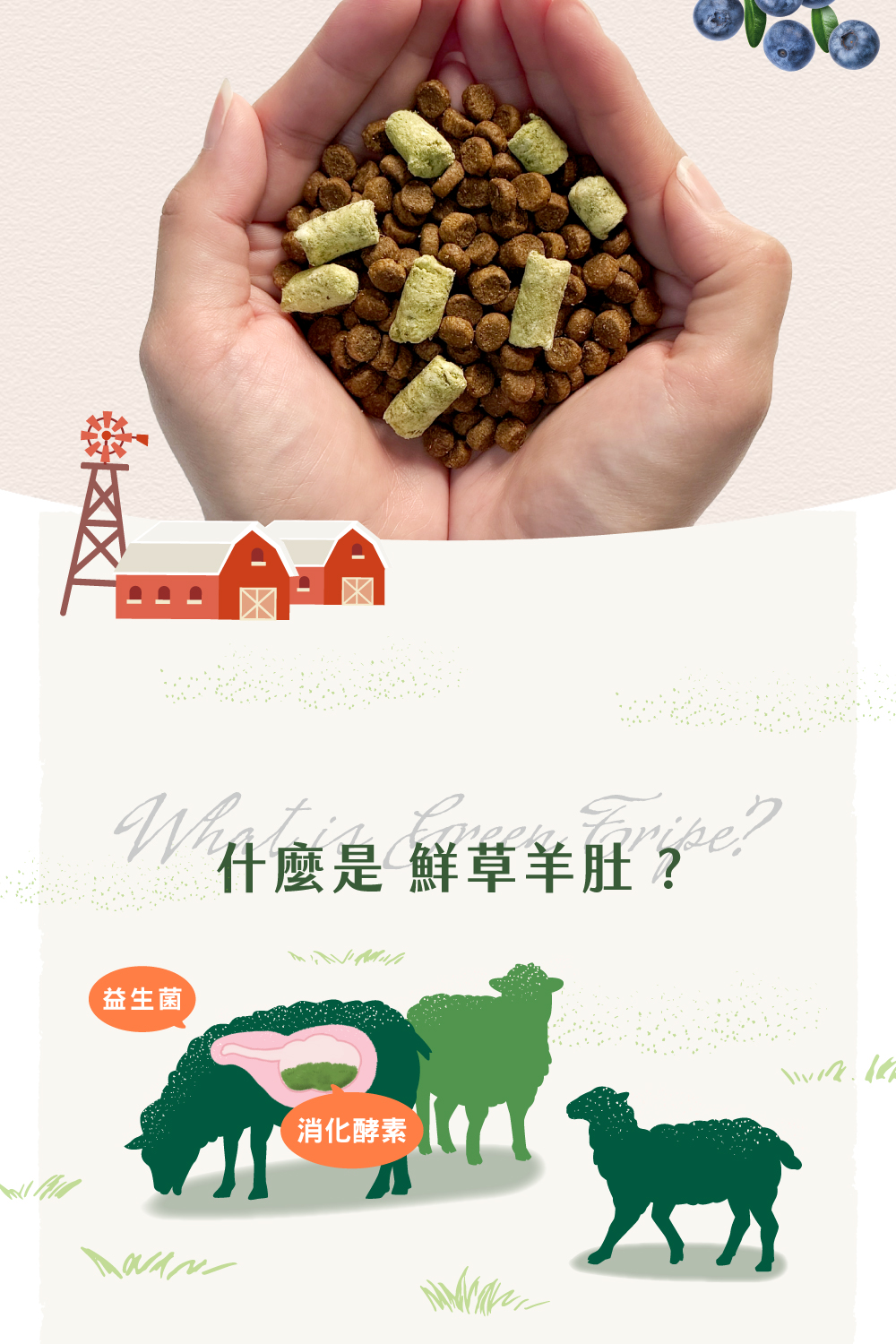 羊肚凍乾99%含肉量，紐西蘭製作，天然的消化酵素，幫助腸胃消化健康。