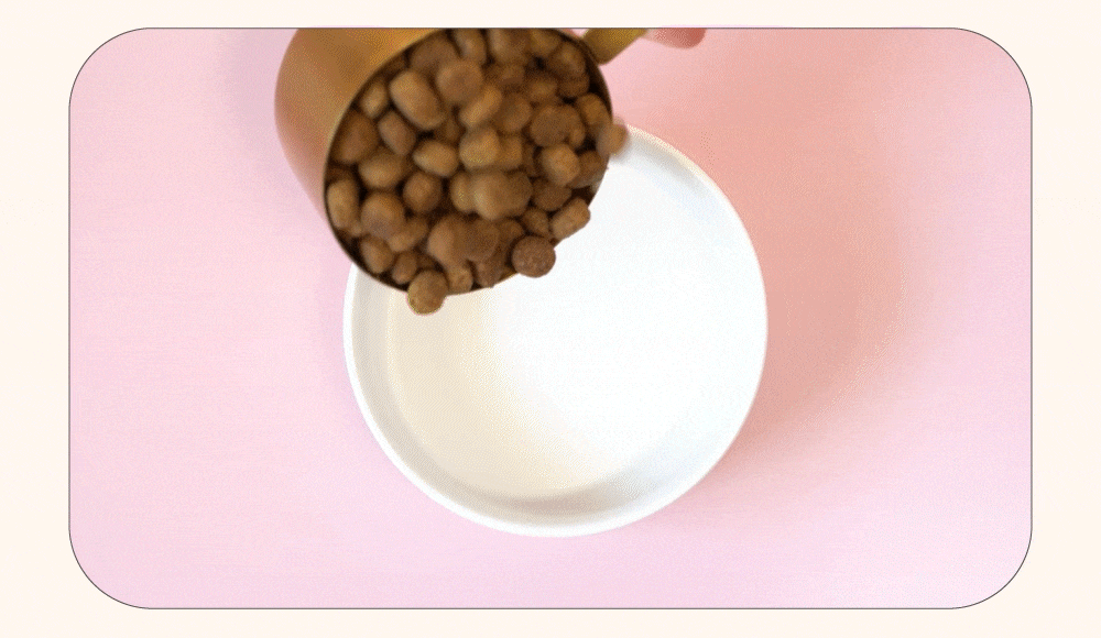 now高湯天然糧加水示範以及試吃影片。 now高湯天然糧加水示範以及試吃影片。