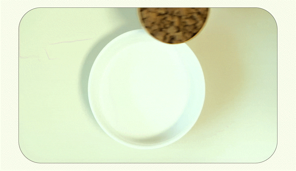 now高湯天然糧加水示範以及試吃影片。 now高湯天然糧加水示範以及試吃影片。