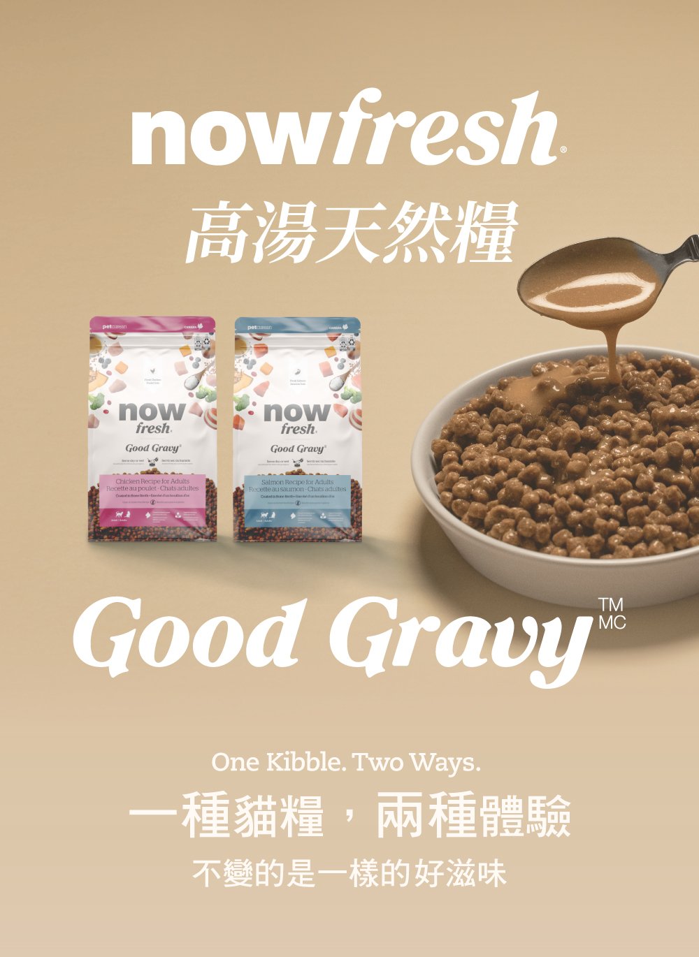 now高湯天然糧,一種貓糧兩種體驗。 now高湯天然糧,一種貓糧兩種體驗。