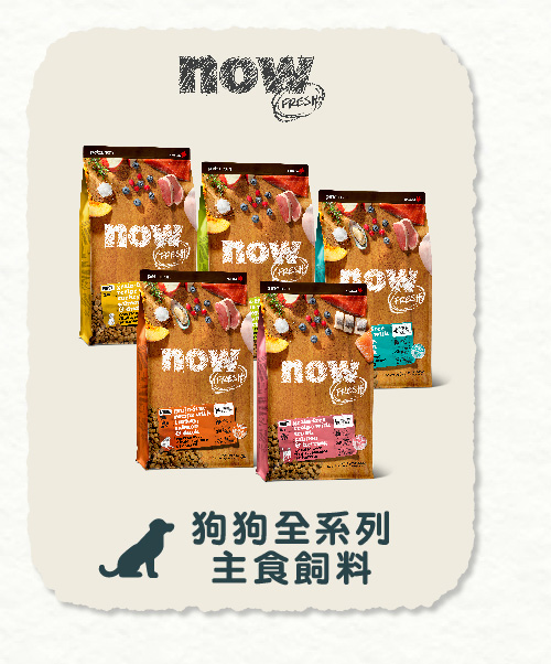 定期購 | Hyperr超躍 犬貓保健品 定期購 | now狗狗天然糧