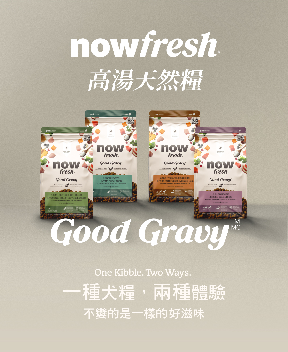 now高湯天然糧,一種犬糧兩種體驗。 now高湯天然糧,一種犬糧兩種體驗。