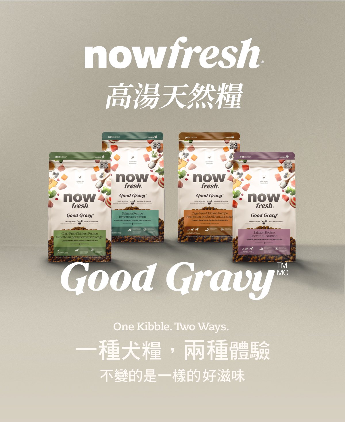 now高湯天然糧,一種犬糧兩種體驗。 now高湯天然糧,一種犬糧兩種體驗。