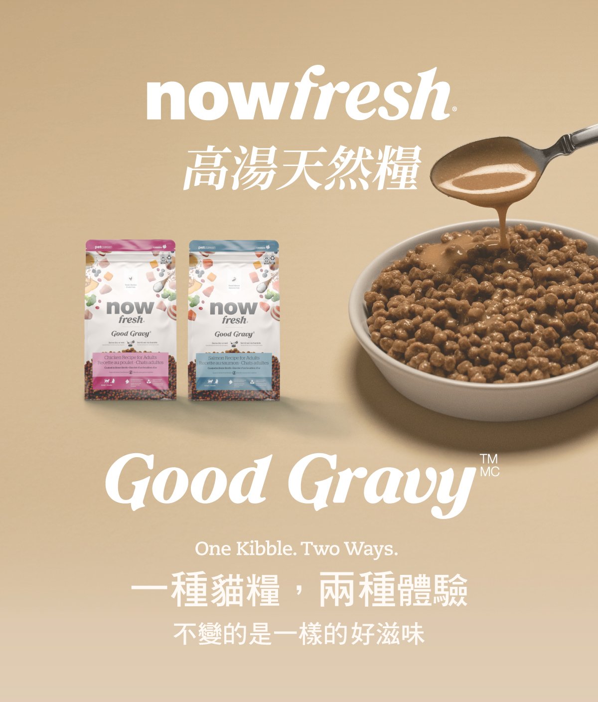 now高湯天然糧,一種貓糧兩種體驗。 now高湯天然糧,一種貓糧兩種體驗。