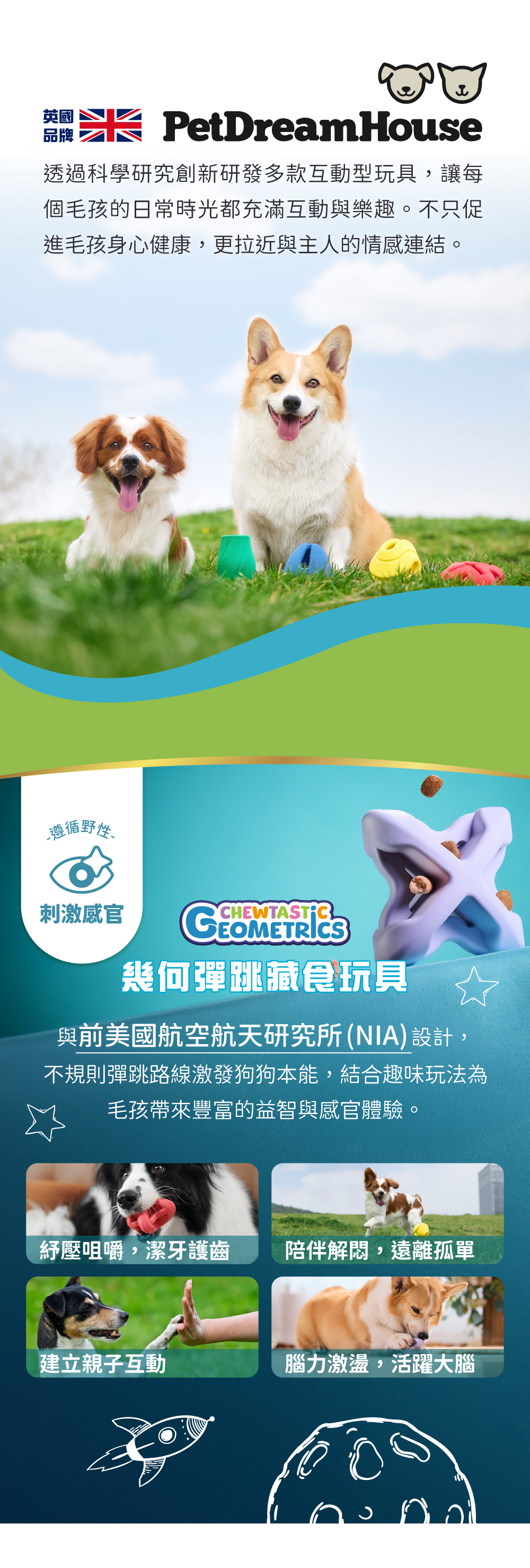 PetDreamHouse彈跳玩具，不規則彈跳設計，滿足狗狗追逐獵物的遊戲性。多樣化款式，可搭配藏食使用，給狗狗更豐富的遊戲體驗。