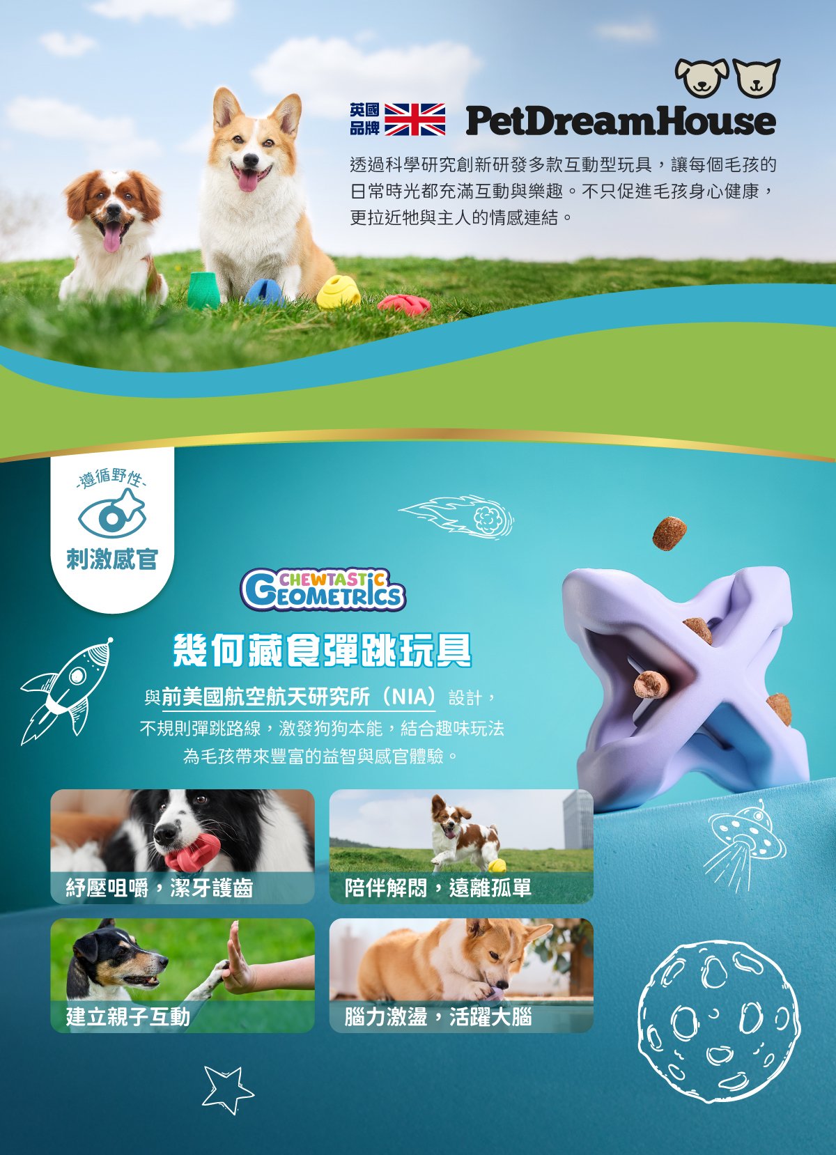 PetDreamHouse彈跳玩具,不規則彈跳設計,滿足狗狗追逐獵物的遊戲性。多樣化款式,可搭配藏食使用,給狗狗更豐富的遊戲體驗。 PetDreamHouse彈跳玩具,不規則彈跳設計,滿足狗狗追逐獵物的遊戲性。多樣化款式,可搭配藏食使用,給狗狗更豐富的遊戲體驗。