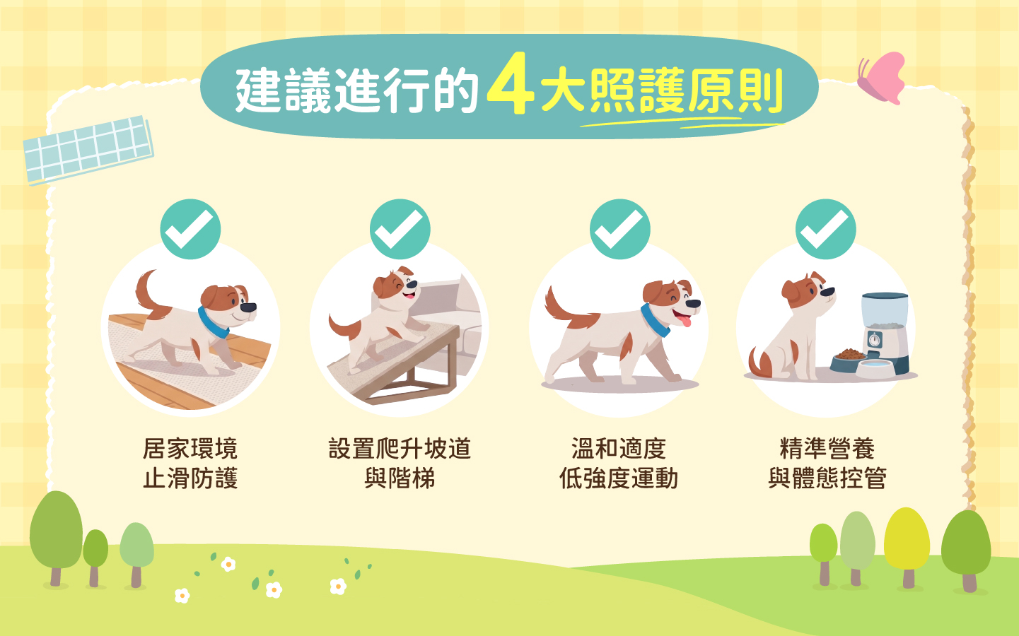 犬貓日常關節養護 4 大建議原則 犬貓日常關節養護 4 大建議原則