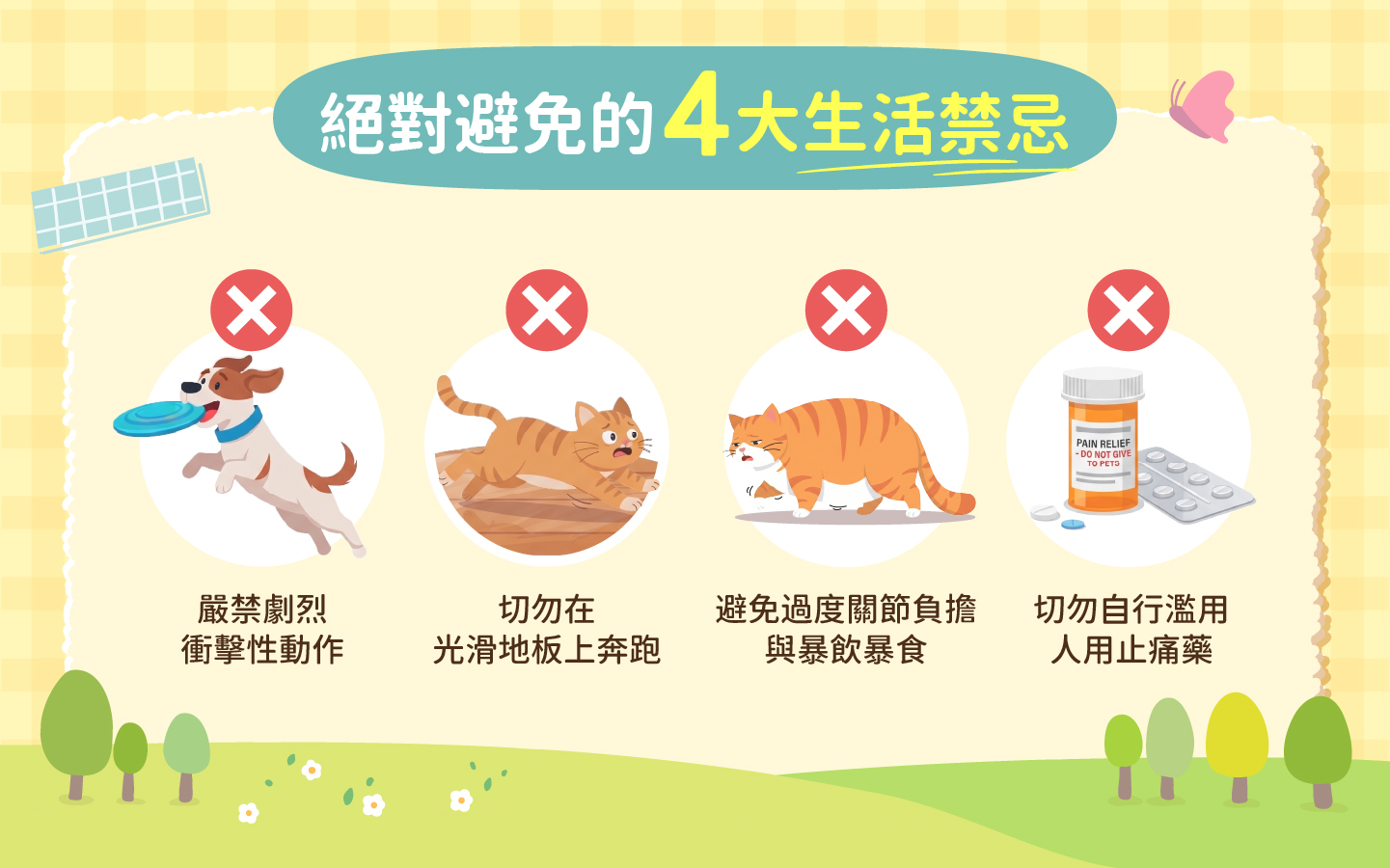 犬貓關節日常照護應避免的 4 大危險禁忌 犬貓關節日常照護應避免的 4 大危險禁忌