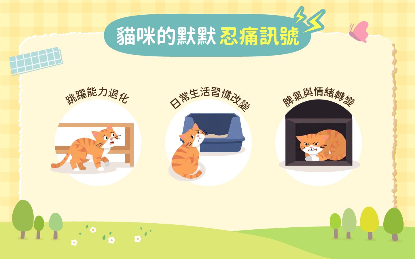 貓咪常見關節疼痛與性情轉變隱藏訊號 貓咪常見關節疼痛與性情轉變隱藏訊號
