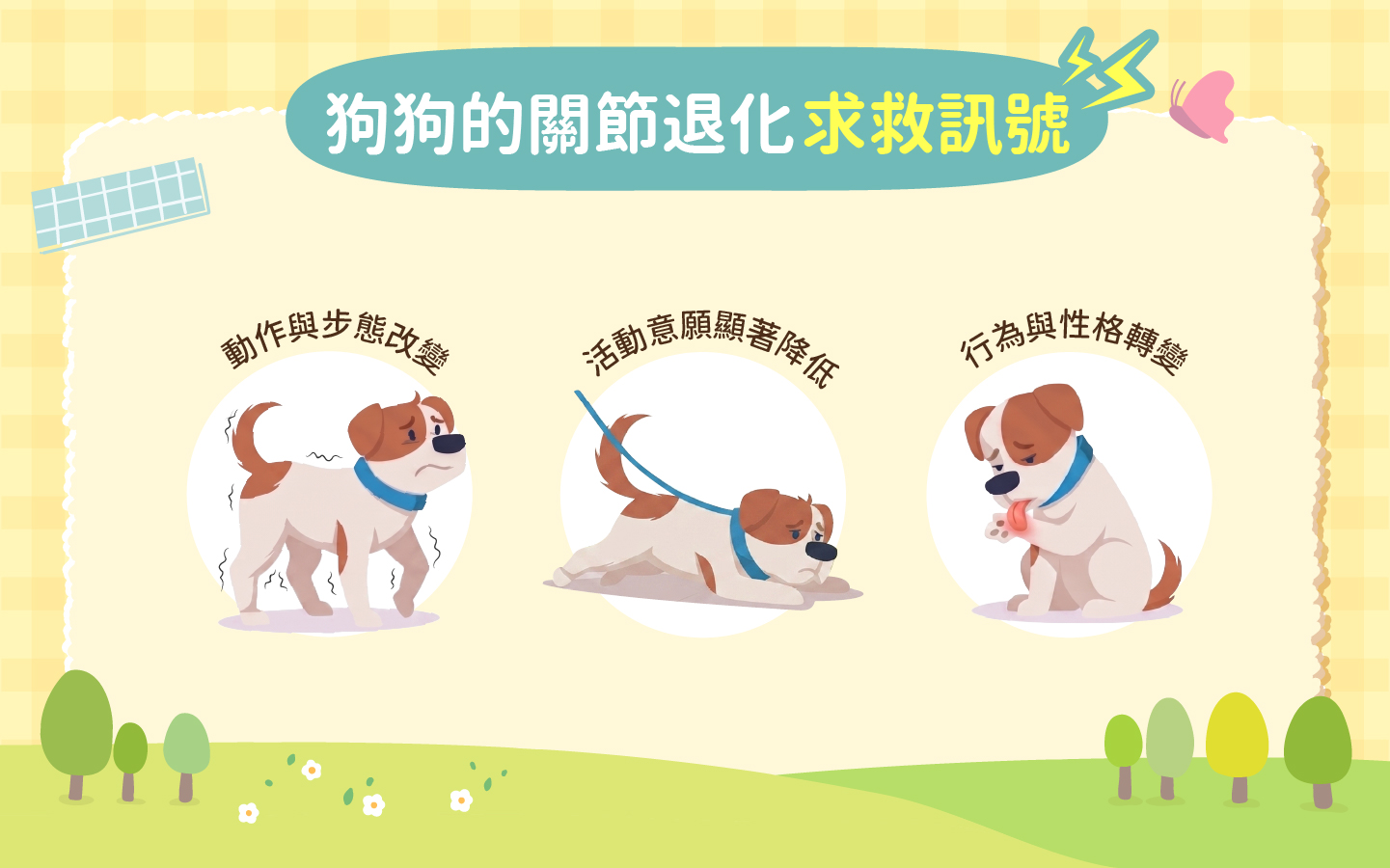 狗狗關節退化求救訊號 狗狗關節退化求救訊號