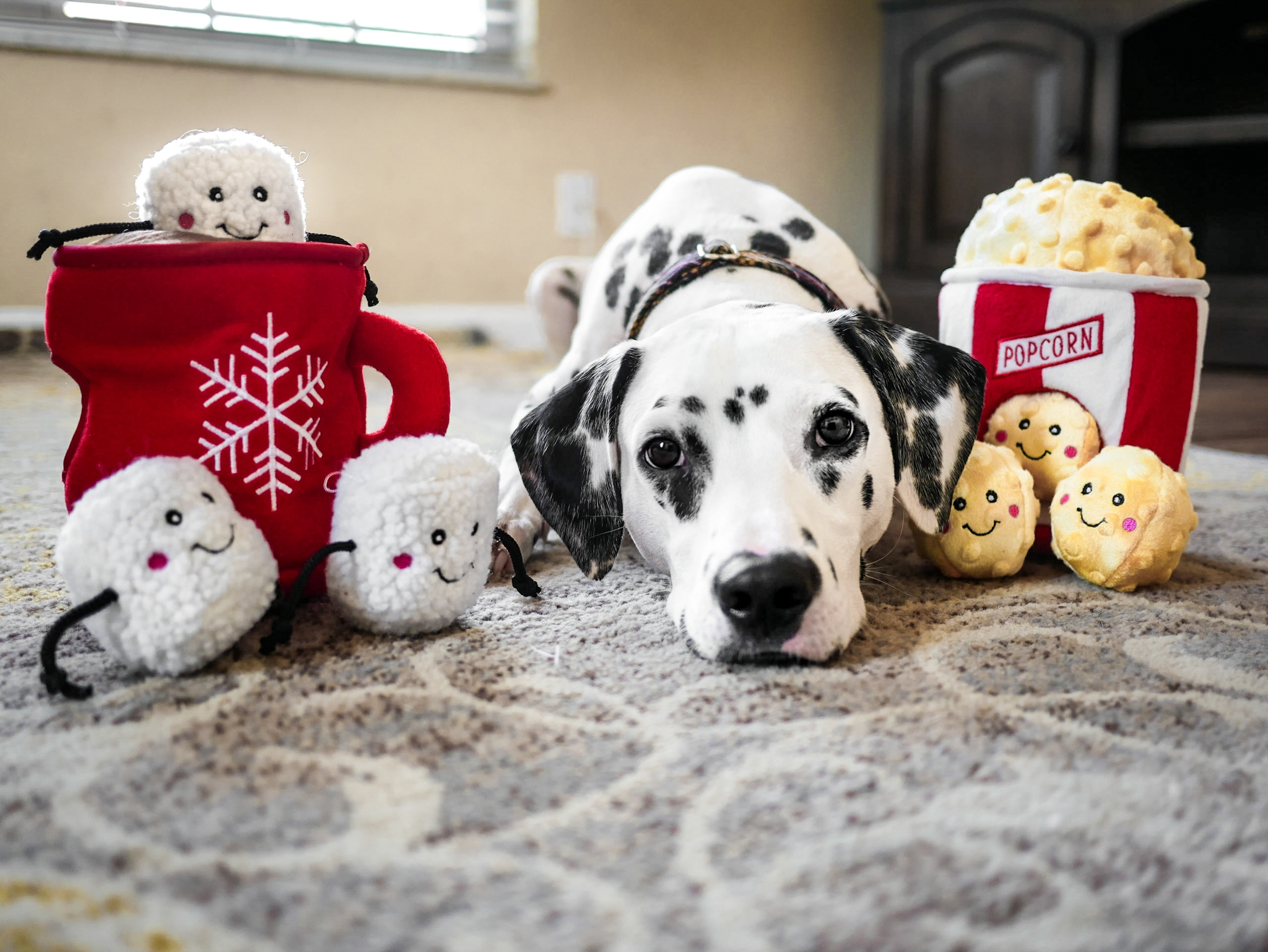 ZippyPaws 爆米花 益智藏食玩具 情境照