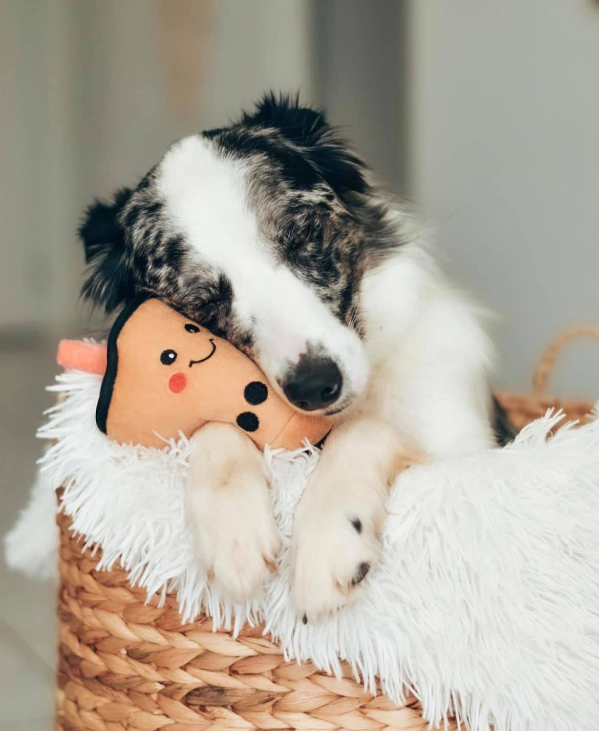 ZippyPaws 珍奶 寵物玩具 情境圖