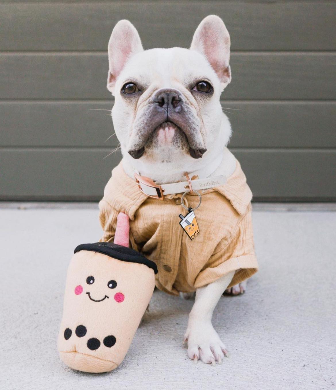 ZippyPaws 珍奶 寵物玩具 情境圖