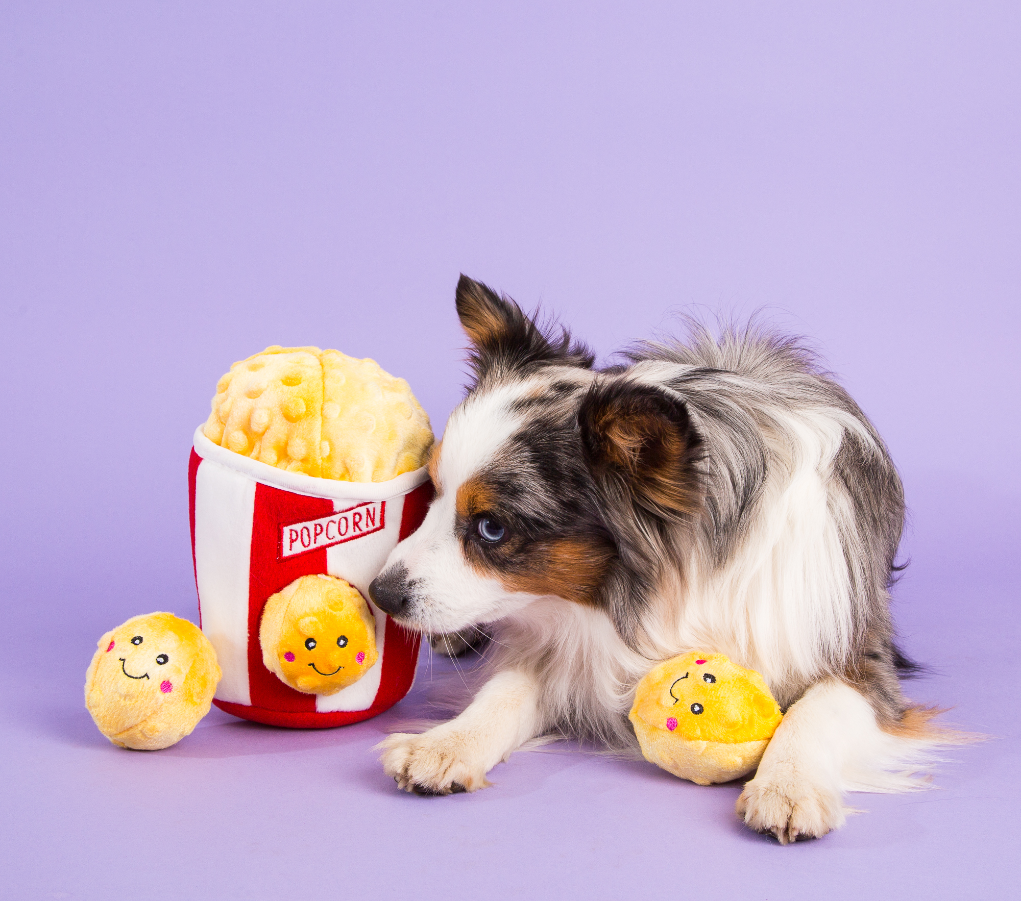 ZippyPaws 爆米花 益智藏食玩具 情境照