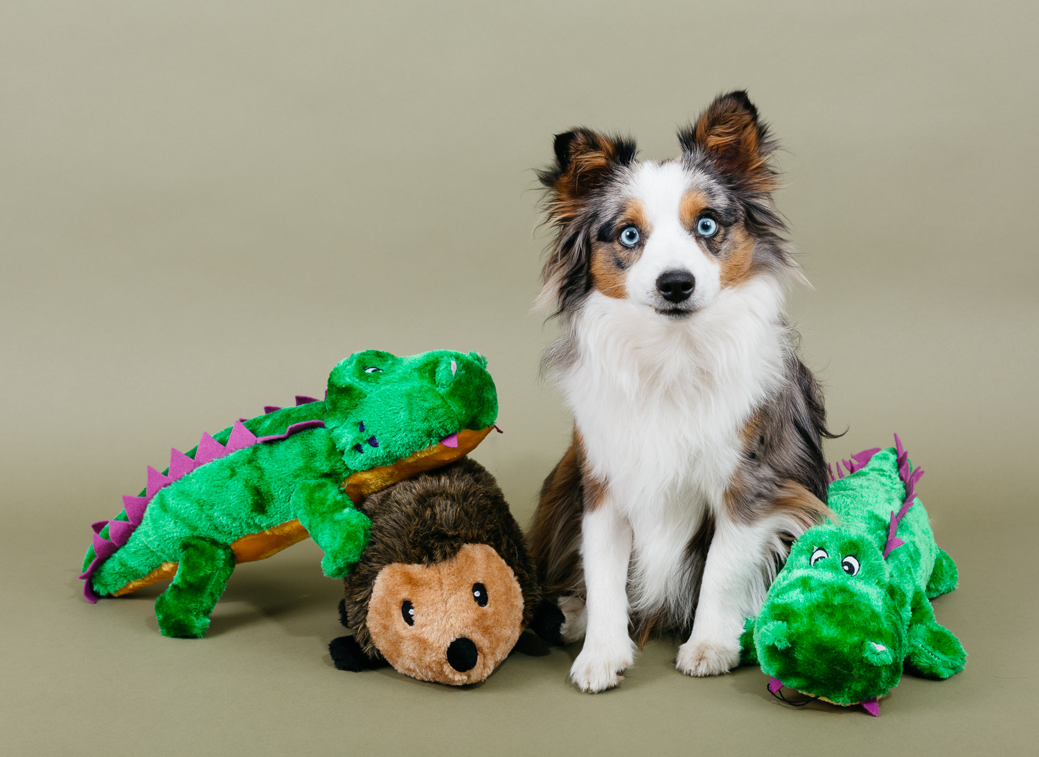 ZippyPaws 經典大刺蝟 有聲玩具 情境照