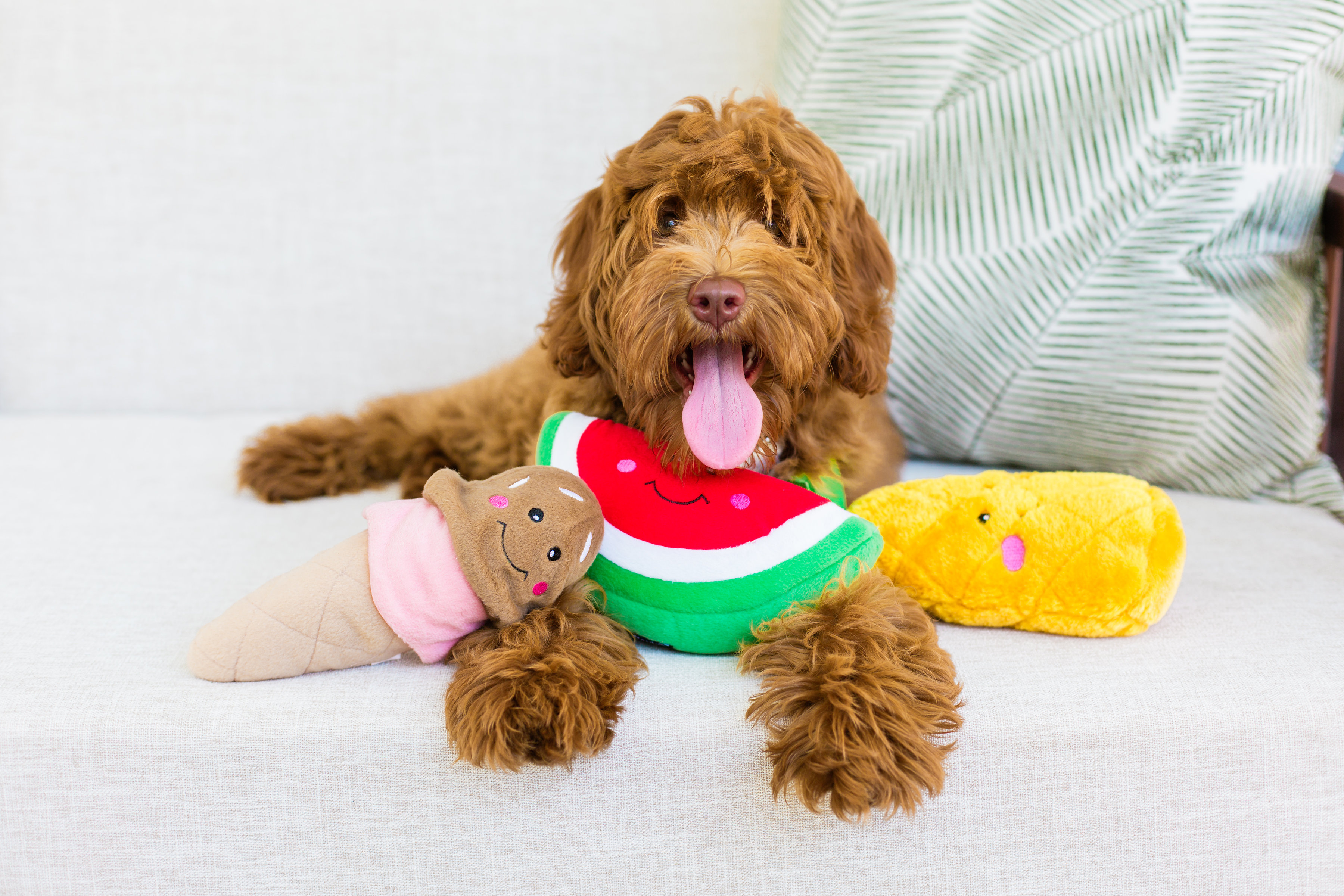 ZippyPaws 霜淇淋寵物玩具 情境照