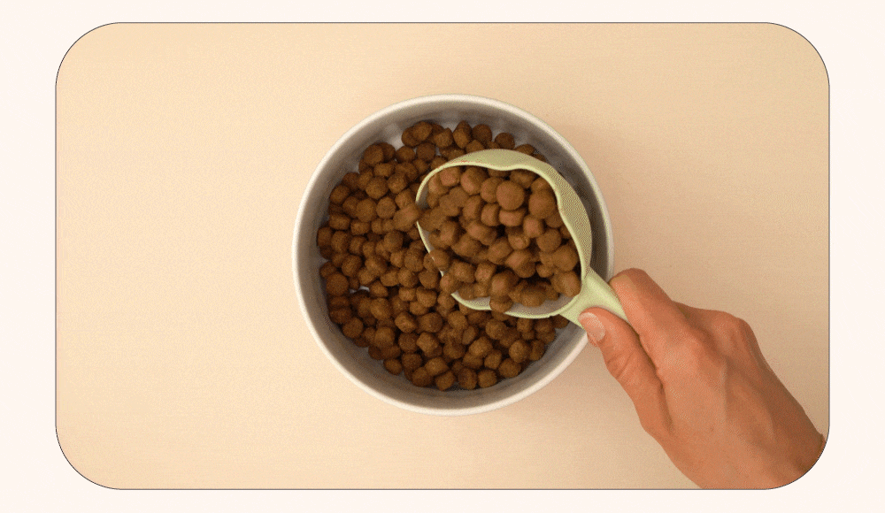 now高湯天然糧加水示範以及試吃影片。