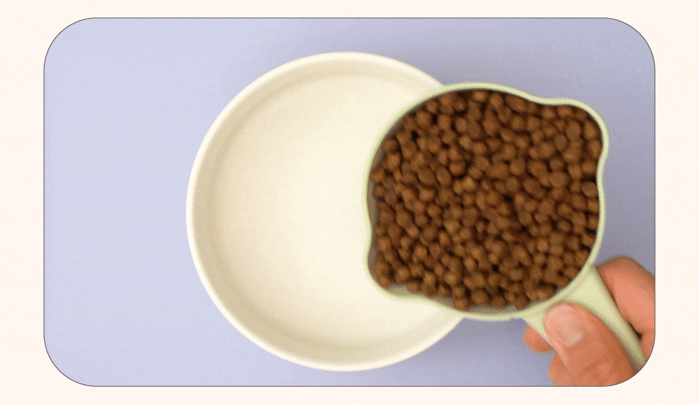 ow高湯天然糧加水示範以及試吃影片。 ow高湯天然糧加水示範以及試吃影片。