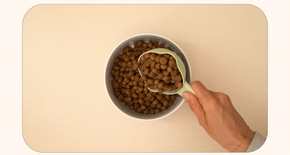 now高湯天然糧加水示範以及試吃影片。