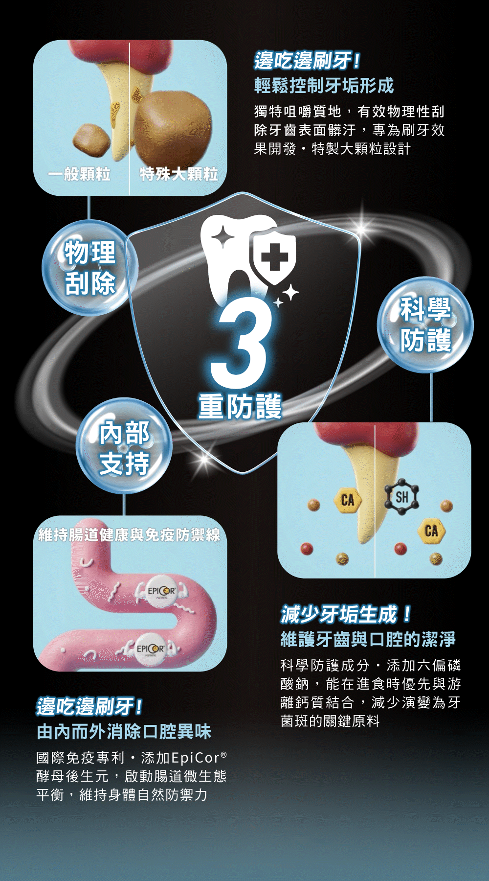 狗狗口腔免疫內頁-MB2