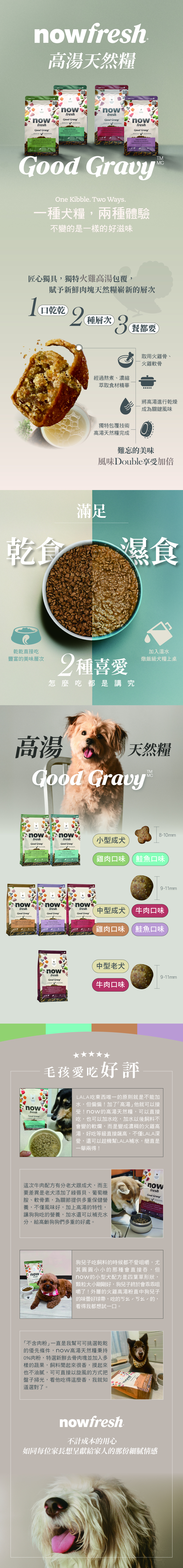 now高湯_狗狗多規格內頁 now高湯_狗狗多規格內頁