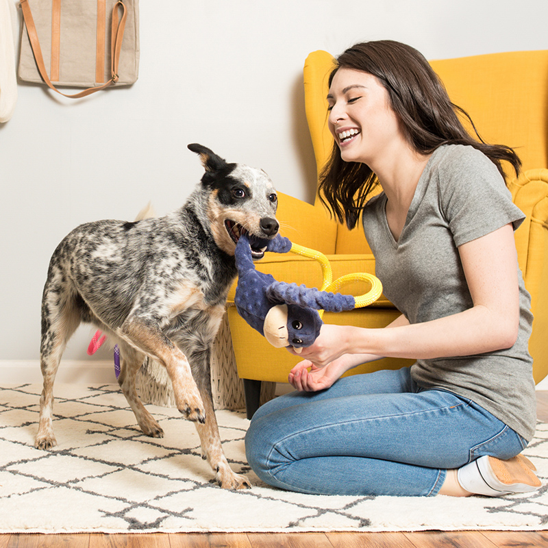 ZippyPaws 拉扯小熊 寵物玩具 情境圖