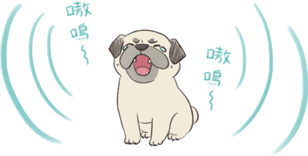 狗的分離焦慮症_2 狗的分離焦慮症_2