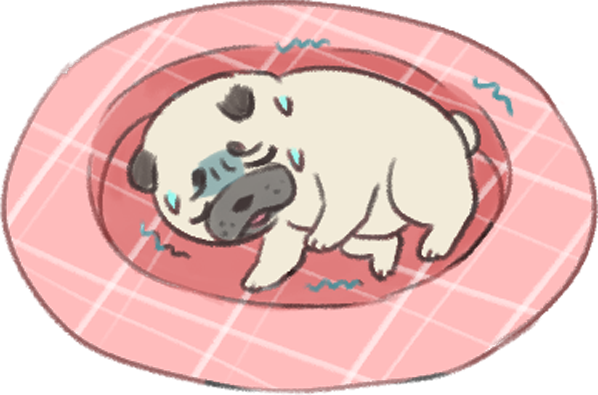 狗的分離焦慮症_6 狗的分離焦慮症_6