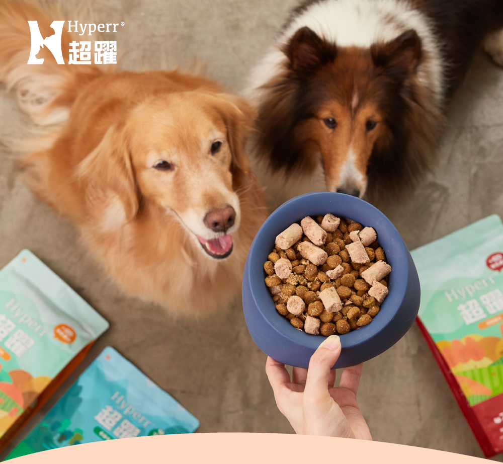 Hyperr超躍 貓狗飼料、零食、保健品 Hyperr超躍 貓狗飼料、零食、保健品
