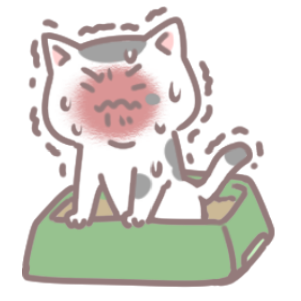 貓便秘怎麼辦_4