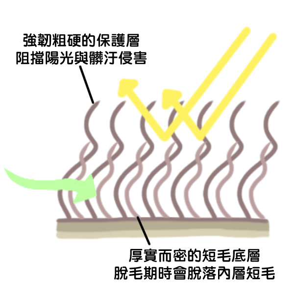 挽救剃毛危機_1 挽救剃毛危機_1