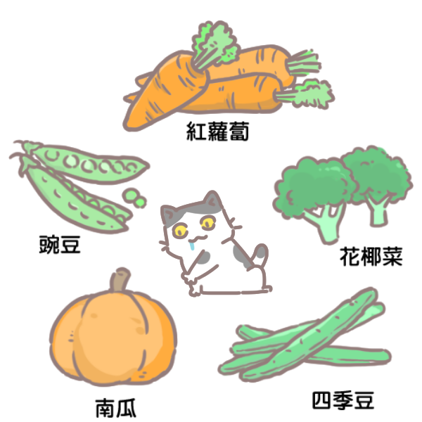 貓咪加菜守則_2