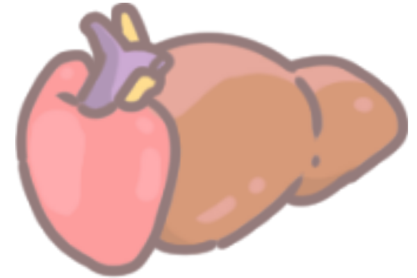 如何選擇好寵食_2