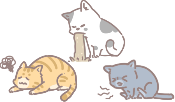 愛滋貓的照護_5