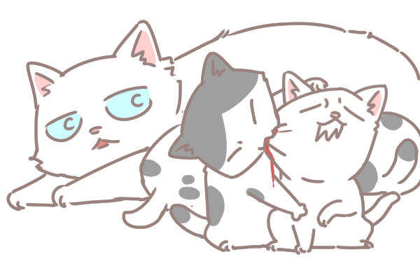 愛滋貓的照護_4