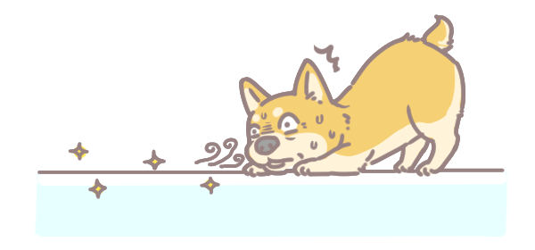 如何避免清潔劑危害毛孩_2