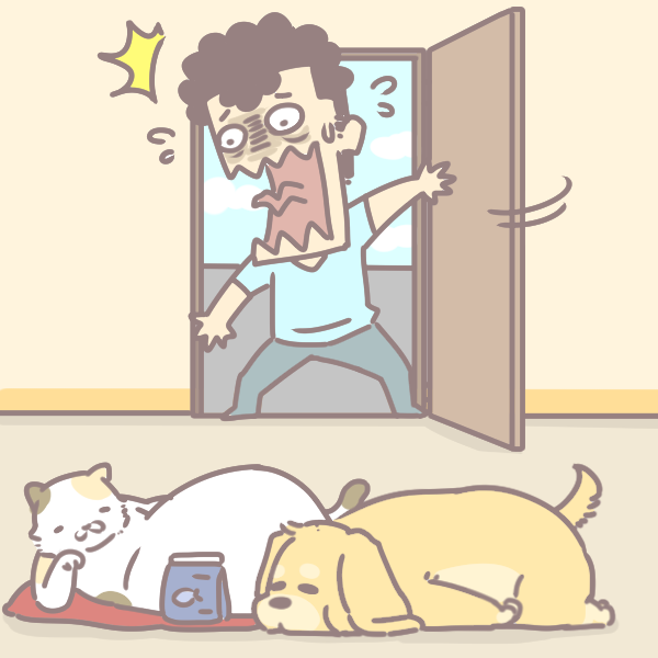 如何幫寵物挑零食_6 如何幫寵物挑零食_6