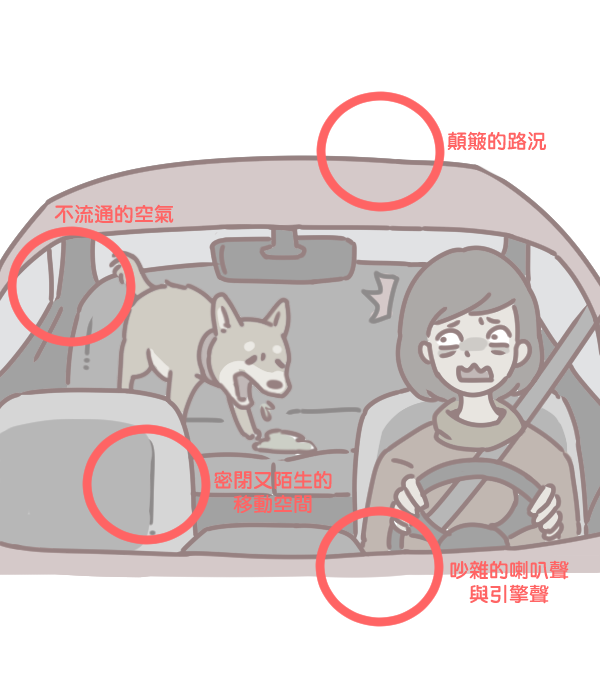 寵物暈車怎麼辦_2
