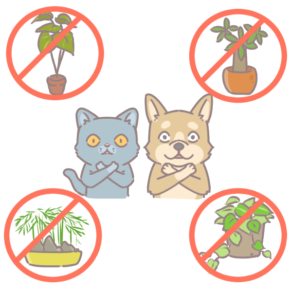 年花注意有毒_6