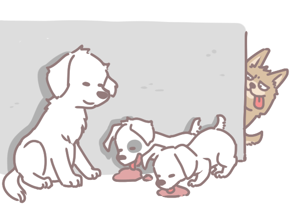 貓狗為何吃反芻食物_1 貓狗為何吃反芻食物_1