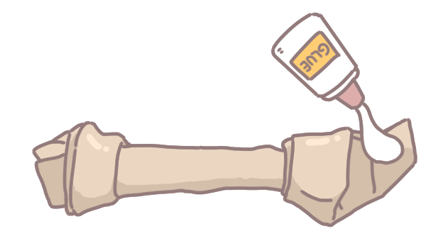 為何不該讓狗吃白色牛皮骨_4 為何不該讓狗吃白色牛皮骨_4