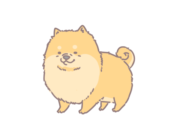 10大最長壽的狗狗品種_7 10大最長壽的狗狗品種_7