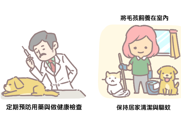 寵物與心絲蟲_4 寵物與心絲蟲_4