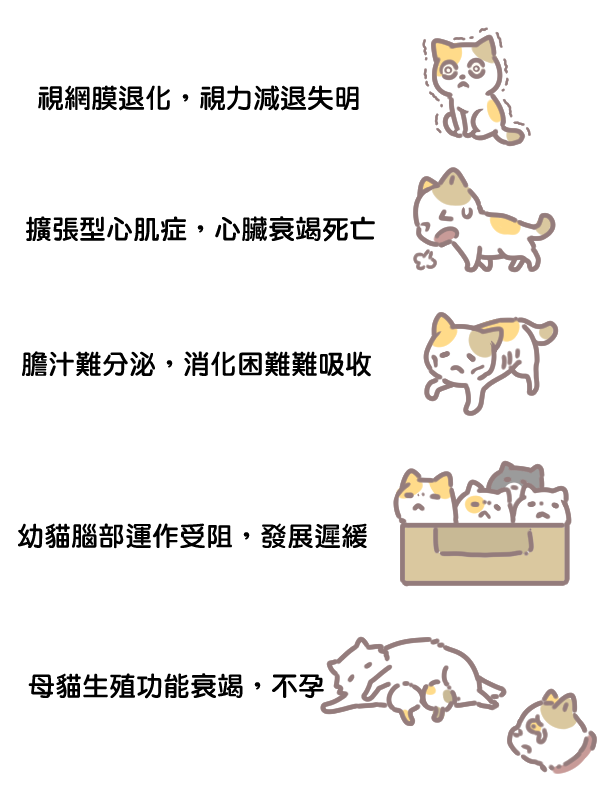 牛磺酸對貓咪的影響_1 牛磺酸對貓咪的影響_1