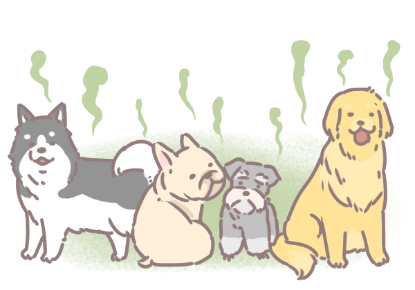 毛孩多久洗澡一次_2 毛孩多久洗澡一次_2