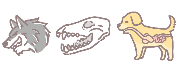 狗砸時還是肉食_1