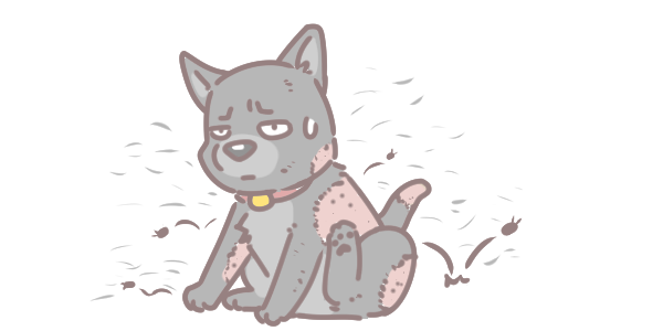 為什麼寵物會狂掉毛_ 為什麼寵物會狂掉毛_