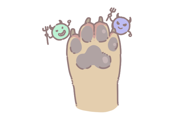 檢測狗狗是否有趾間炎_1